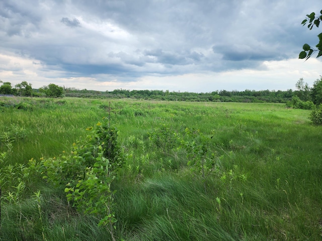 TBD Rice Rd, Mission Creek Twp, MN 55037 - photo 2