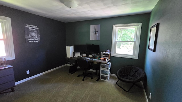 1515 3rd Ave NE, Owatonna, MN 55060 - carpeted home office featuring baseboards