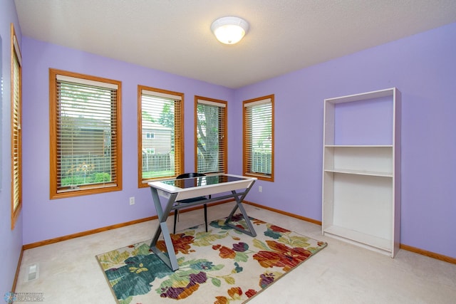 2902 24th Ave S, Fargo, ND 58103 - office area featuring carpet flooring and baseboards
