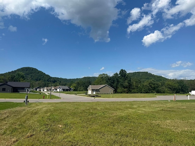 432 Backstretch Ct, La Crescent, MN 55947 - photo 3