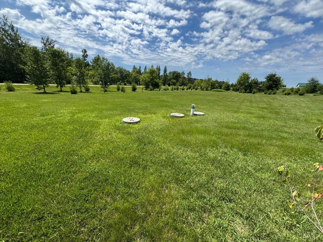 46313 St Lawrence Dr, Otto Twp, MN 56573 - view of green lawn
