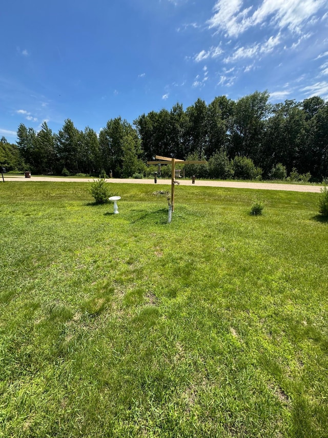46313 St Lawrence Dr, Otto Twp, MN 56573 - view of grassy yard