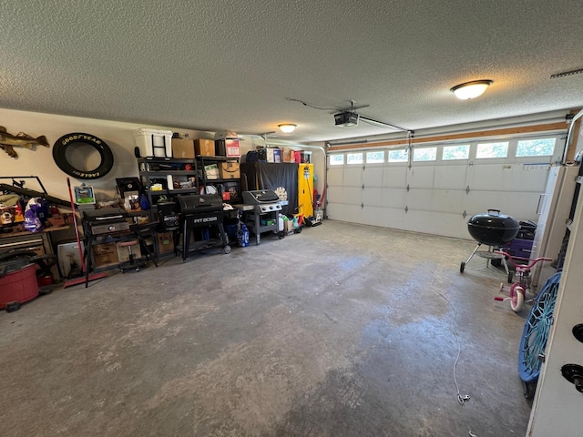 46313 St Lawrence Dr, Otto Twp, MN 56573 - garage featuring a garage door opener