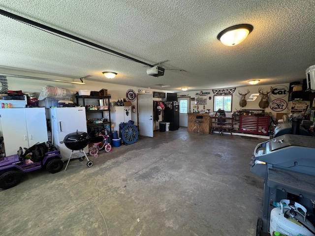 46313 St Lawrence Dr, Otto Twp, MN 56573 - garage featuring a garage door opener and a workshop area