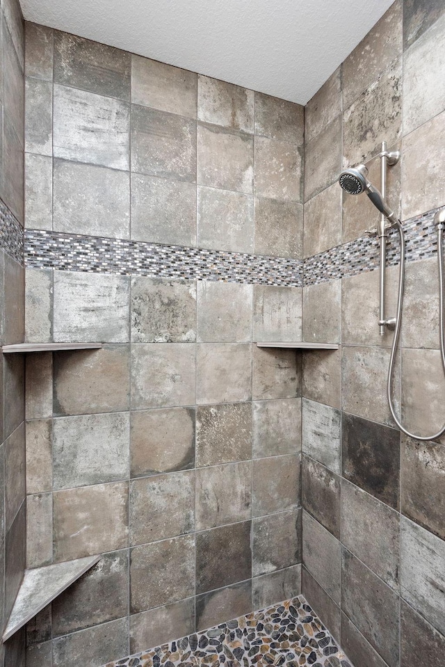 11039 285th Ave, Zimmerman, MN 55398 - bathroom view of tiled shower