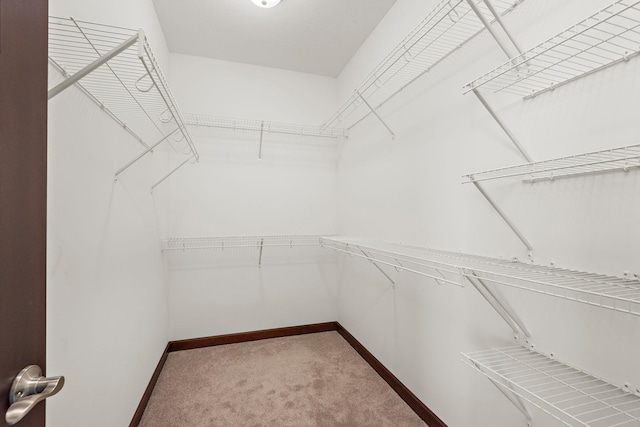 11039 285th Ave, Zimmerman, MN 55398 - spacious closet with carpet flooring