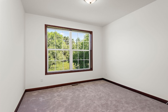 11039 285th Ave, Zimmerman, MN 55398 - carpeted spare room featuring baseboards