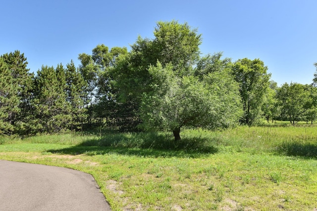 11039 285th Ave, Zimmerman, MN 55398 - view of yard