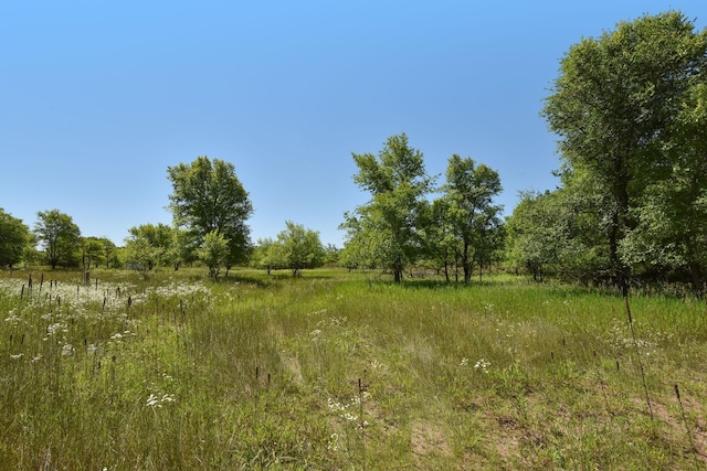 11039 285th Ave, Zimmerman, MN 55398 - view of undeveloped land with rural landscape
