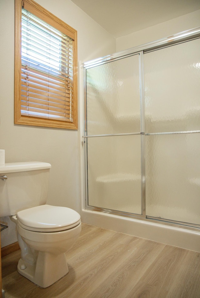 66182 310th Ave, Lake City, MN 55041 - bathroom featuring wood finished floors and a shower with shower door