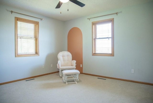 66182 310th Ave, Lake City, MN 55041 - unfurnished room featuring arched walkways, a ceiling fan, carpet floors, and a textured ceiling