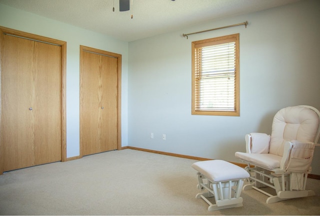 66182 310th Ave, Lake City, MN 55041 - living area with ceiling fan, carpet flooring, and a textured ceiling