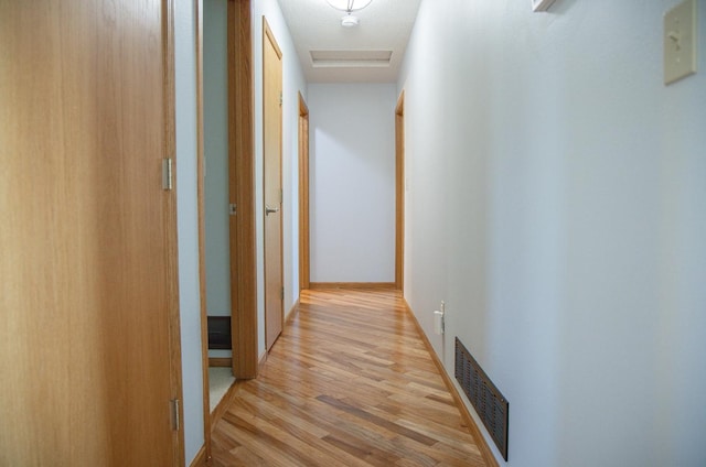 66182 310th Ave, Lake City, MN 55041 - hallway featuring light wood finished floors