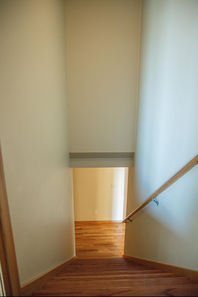 66182 310th Ave, Lake City, MN 55041 - staircase with wood finished floors and baseboards