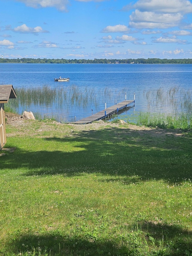 576 Pine Mountain Lake Rd NW, Deerfield Twp, MN 56435 - photo 6