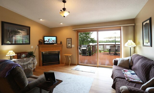410 Pospeck Ln, Hoyt Lakes, MN 55750 - living room featuring wood finished floors and a fireplace