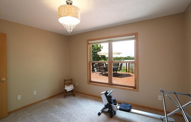 410 Pospeck Ln, Hoyt Lakes, MN 55750 - exercise room featuring carpet, a chandelier, and a textured ceiling