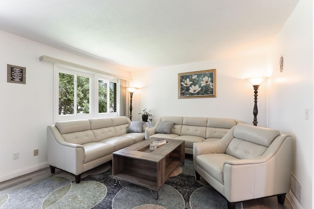 12190 Drake St NW, Coon Rapids, MN 55448 - living room with wood finished floors and baseboards