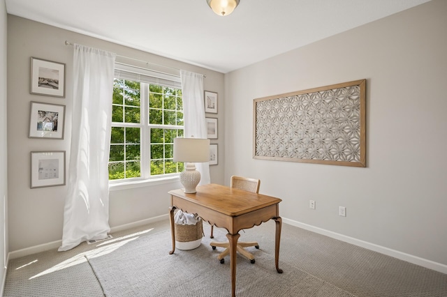 3702 112th Cir NE, Blaine, MN 55449 - carpeted office with healthy amount of natural light