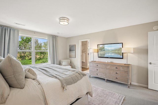 3702 112th Cir NE, Blaine, MN 55449 - bedroom with light colored carpet and ensuite bath