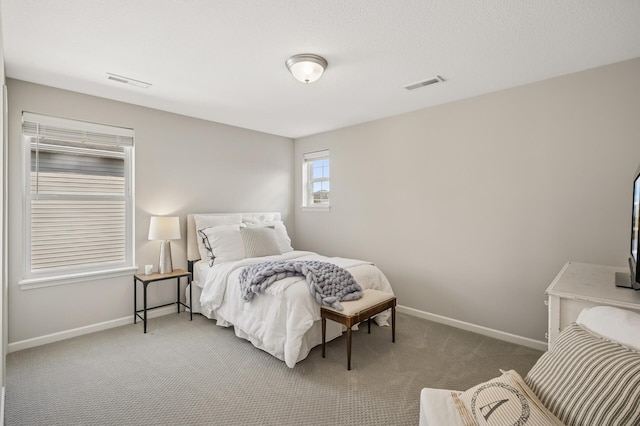 3702 112th Cir NE, Blaine, MN 55449 - bedroom featuring carpet