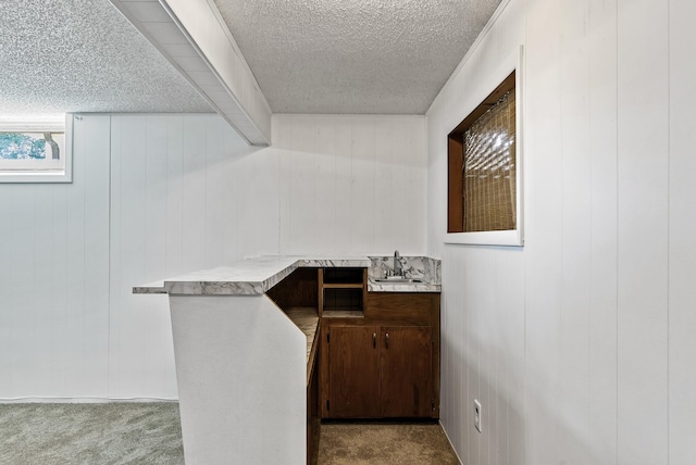 6925 Colorado Ave N, Brooklyn Park, MN 55429 - bar featuring carpet floors, a textured ceiling, and wood walls