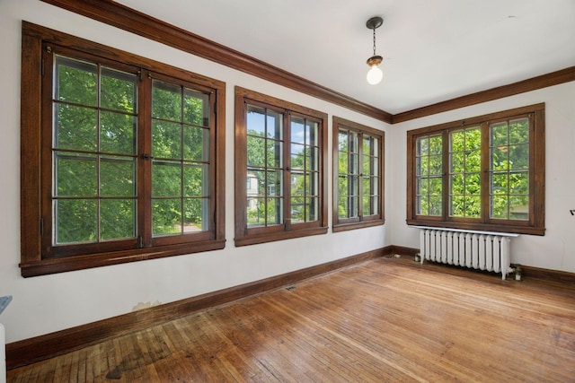 73 Arthur Ave SE, Minneapolis, MN 55414 - spare room featuring radiator, crown molding, and hardwood / wood-style flooring