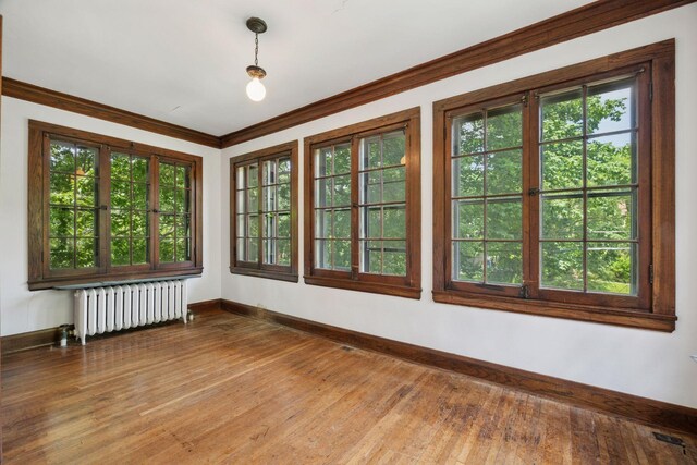 73 Arthur Ave SE, Minneapolis, MN 55414 - unfurnished room with radiator, ornamental molding, and wood finished floors