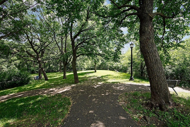 73 Arthur Ave SE, Minneapolis, MN 55414 - view of home's community with a yard