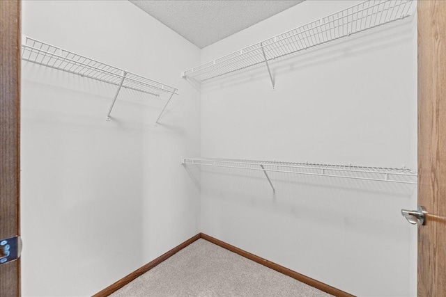 7514 Ojibway Park Rd, Woodbury, MN 55125 - walk in closet with carpet
