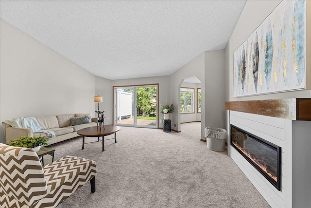 7514 Ojibway Park Rd, Woodbury, MN 55125 - carpeted living area featuring a glass covered fireplace and a textured ceiling