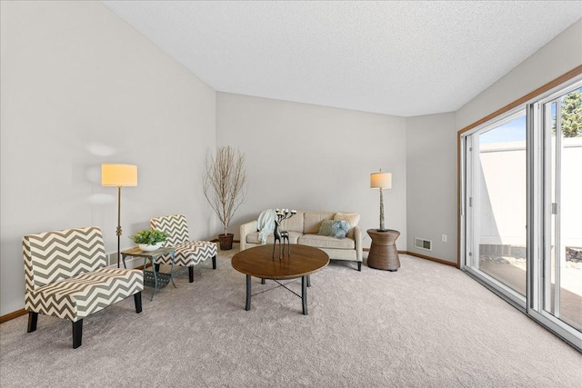 7514 Ojibway Park Rd, Woodbury, MN 55125 - living room with carpet and a textured ceiling