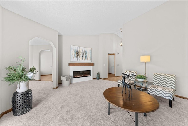 7514 Ojibway Park Rd, Woodbury, MN 55125 - carpeted living area featuring vaulted ceiling, a glass covered fireplace, and arched walkways