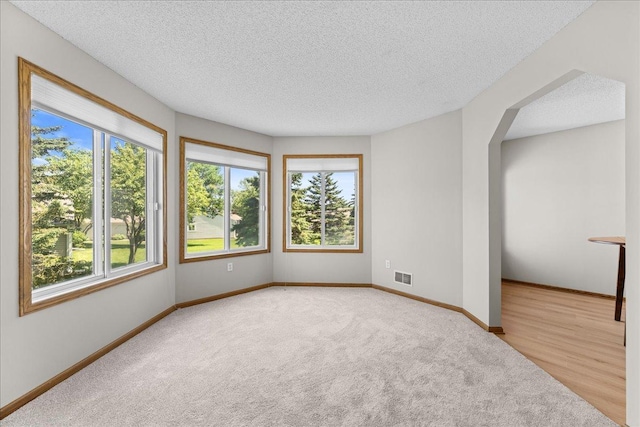 7514 Ojibway Park Rd, Woodbury, MN 55125 - spare room featuring healthy amount of natural light, carpet, a textured ceiling, and arched walkways