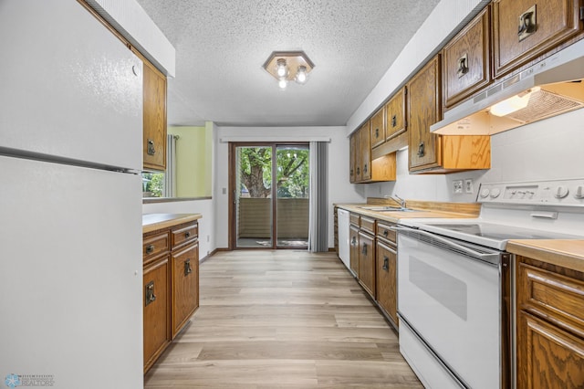3237 17th Ave S Unit 101, Fargo, ND 58103 - kitchen featuring white appliances, under cabinet range hood, light countertops, a textured ceiling, and brown cabinetry