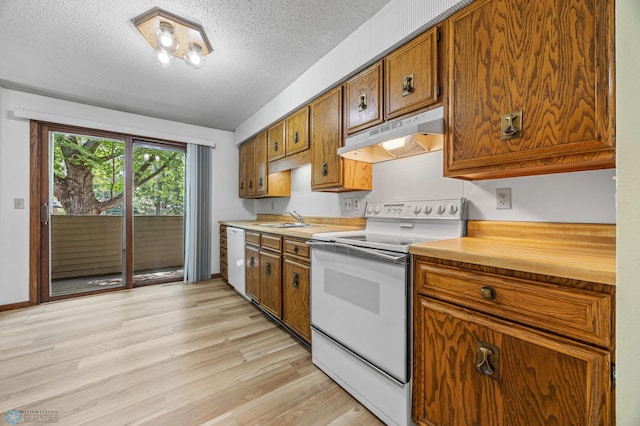 3237 17th Ave S Unit 101, Fargo, ND 58103 - kitchen with white appliances, under cabinet range hood, a textured ceiling, brown cabinets, and light wood-type flooring