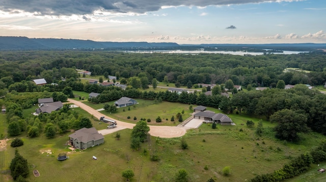 15212 667th St, Wabasha, MN 55981 - view of property location with a heavily wooded area