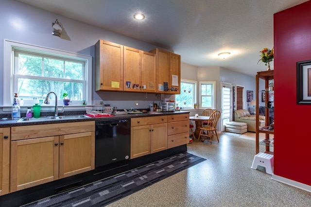 15212 667th St, Wabasha, MN 55981 - kitchen featuring dishwasher, dark countertops, light brown cabinetry, and open floor plan