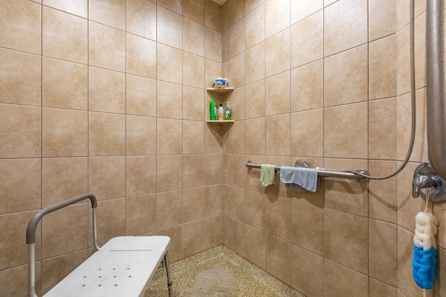 15212 667th St, Wabasha, MN 55981 - bathroom featuring a tile shower