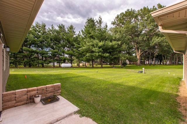 15212 667th St, Wabasha, MN 55981 - view of green lawn