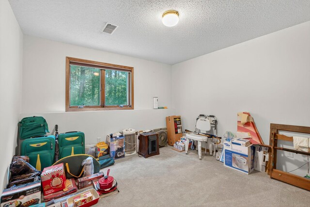1996 26th Ave, Alden Twp, WI 54026 - photo 29