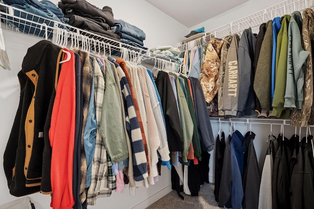 11121 Balsam Pointe Trl, Dayton, MN 55327 - walk in closet with carpet floors