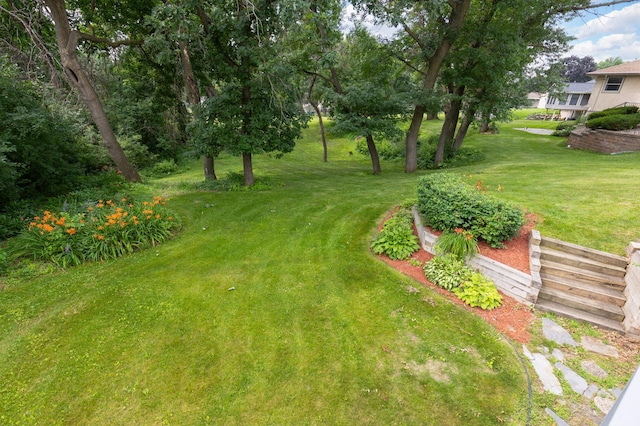 8116 Mount Curve Blvd, Brooklyn Park, MN 55445 - photo 30