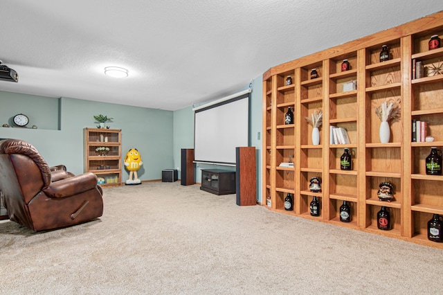 1962 72 1/2 St, Centerville, MN 55038 - carpeted cinema featuring a textured ceiling