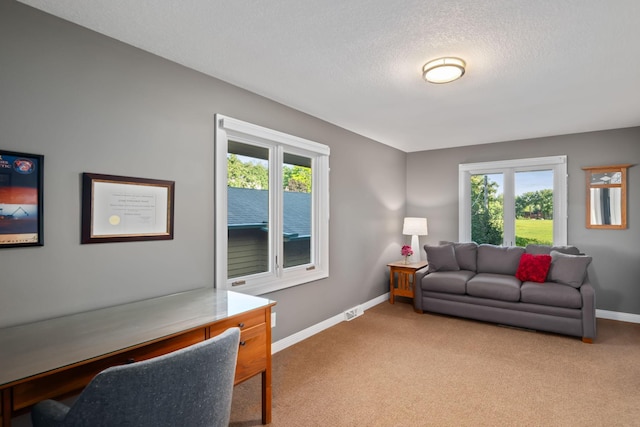 4832 Longford Rd, Mound, MN 55364 - living area featuring light colored carpet, healthy amount of natural light, and a textured ceiling