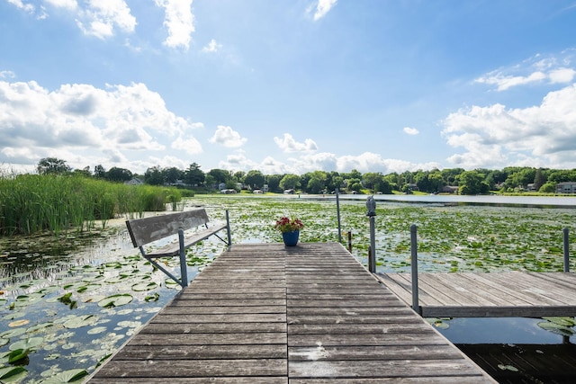 4832 Longford Rd, Mound, MN 55364 - dock area with a water view