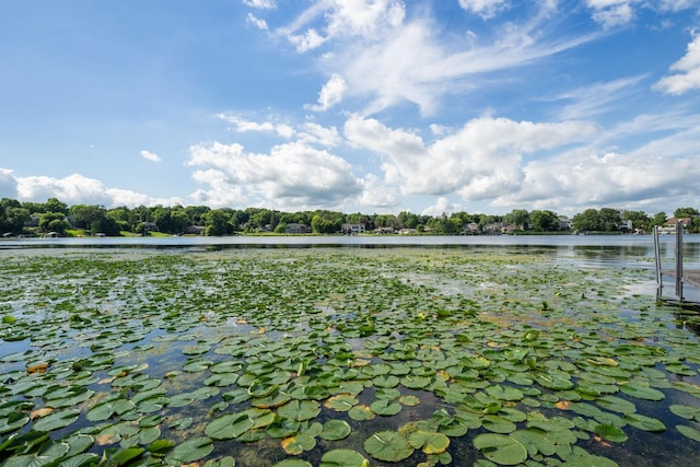 4832 Longford Rd, Mound, MN 55364 - water view