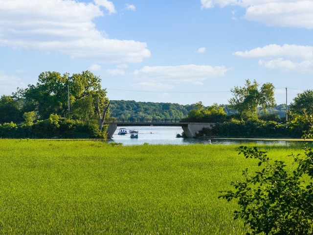 4832 Longford Rd, Mound, MN 55364 - view of yard with a water view and a view of trees