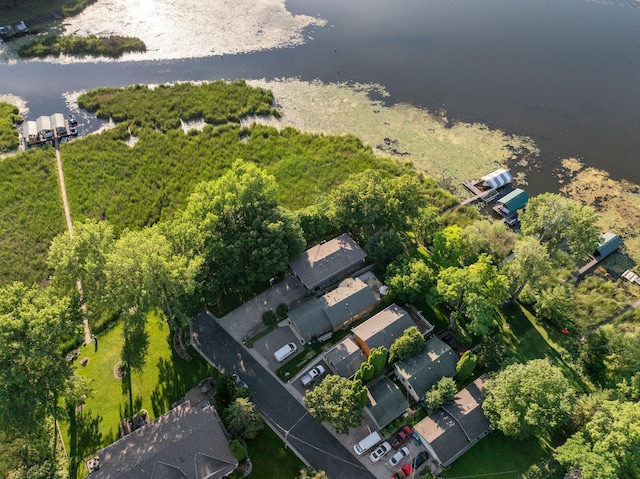 4832 Longford Rd, Mound, MN 55364 - bird's eye view of a nearby body of water
