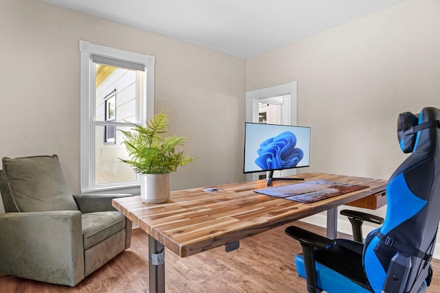 823 Owens St N, Stillwater, MN 55082 - office space featuring wood finished floors